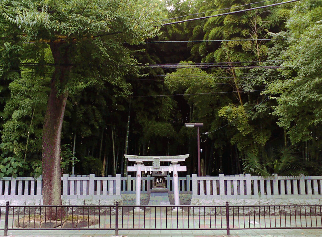 八幡の藪知らず 千葉県市川市の禁足地｜心霊スポット写真
